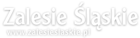 Zalesie Śląskie